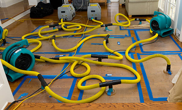 Professional Structural Drying And Dehumidification technician working in Alliance, NC