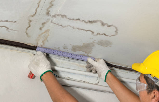 Affordable Water Damage Repair solutions in Alliance, NC
